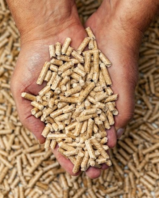 Biomasse Schweiz Biomasse Schweiz